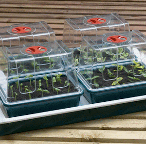 GARLAND TACA PODGRZEWANA + 4 SZKLARENKI WENTYLOWANE, 38.5x24xh17.5cm, 230V