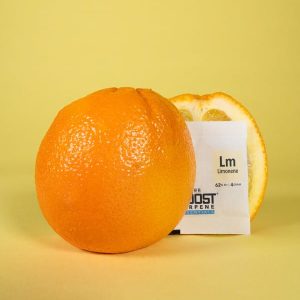 REGULATOR WILGOTNOŚCI DO SUSZU ROŚLINNEGO - INTEGRA BOOST TERPENE ESSENTIALS LIMONENE 4G / 62%, UWALNIA LUB POCHŁANIA WILGOĆ + TERPENY , do 4g suszu, poprawia smak